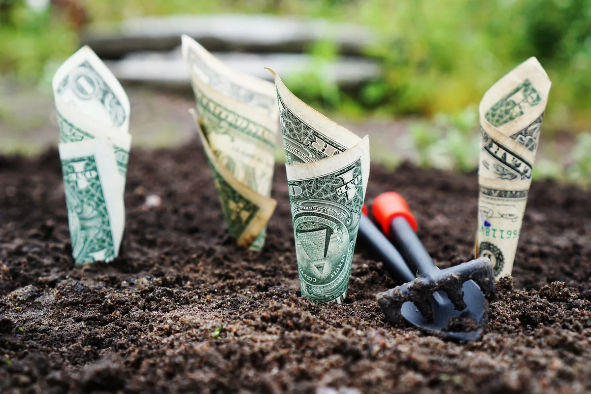 The Digital Lifestyle: 5 Smart Habits to Save Money in Pakistan (2026) — Finance article cover image